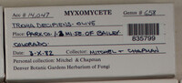 Image Associated With the Occurence